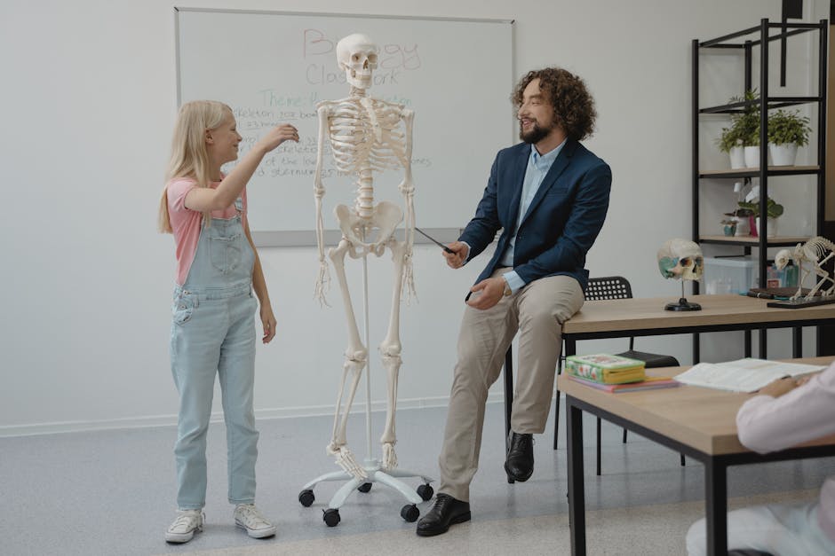 Teacher and student interact with a skeleton model during a lively biology lesson in a classroom
